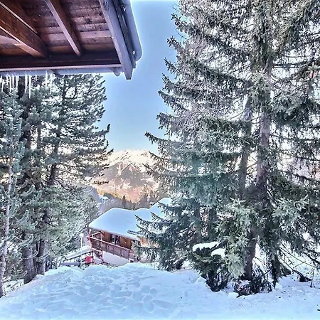 בקתה Spacieux 15 Pers Avec Sauna Et Jacuzzi, Proche Pistes - Plagne 1800 - Fr-1-455-159 לה פלאנייה